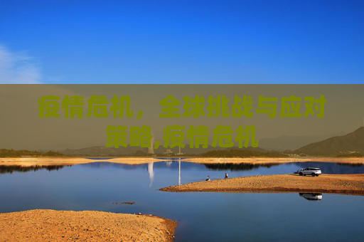 疫情危机，全球挑战与应对策略,疫情危机