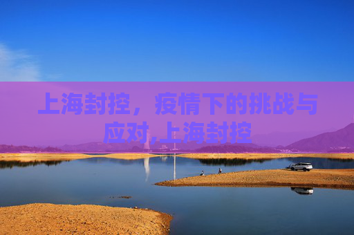 上海封控，疫情下的挑战与应对,上海封控