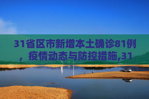 31省区市新增本土确诊81例，疫情动态与防控措施,31省区市新增本土确诊81例