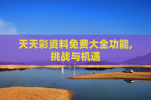 天天彩资料免费大全功能,挑战与机遇