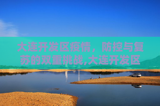 大连开发区疫情，防控与复苏的双重挑战,大连开发区疫情