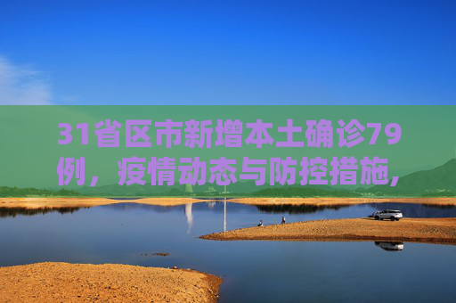 31省区市新增本土确诊79例，疫情动态与防控措施,31省区市新增本土确诊79例