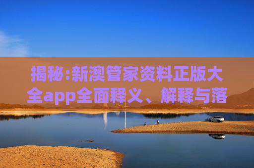 揭秘:新澳管家资料正版大全app全面释义、解释与落实