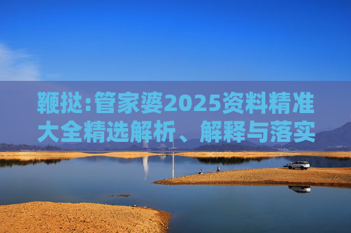 鞭挞:管家婆2025资料精准大全精选解析、解释与落实