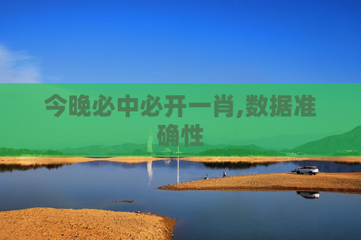 今晚必中必开一肖,数据准确性