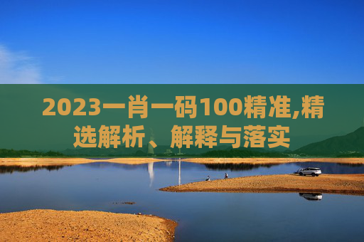 2023一肖一码100精准,精选解析、解释与落实