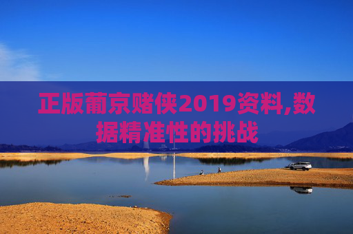 正版葡京赌侠2019资料,数据精准性的挑战
