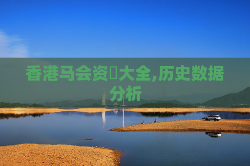 香港马会资枓大全,历史数据分析