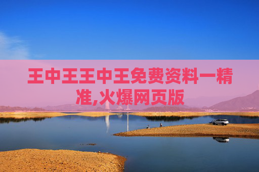 王中王王中王免费资料一精准,火爆网页版