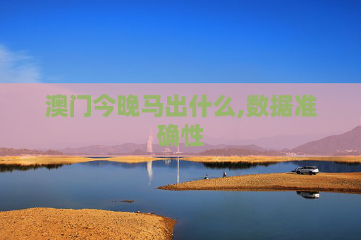 澳门今晚马出什么,数据准确性