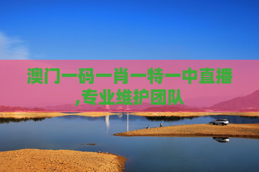 澳门一码一肖一特一中直播,专业维护团队