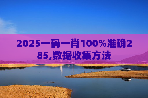 2025一码一肖100%准确285,数据收集方法