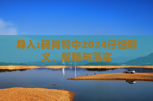 导入:码肖特中2024仔细释义、解释与落实