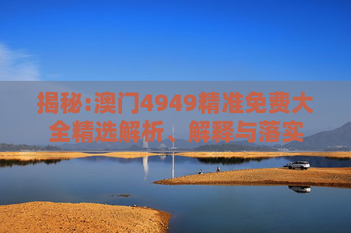 揭秘:澳门4949精准免费大全精选解析、解释与落实