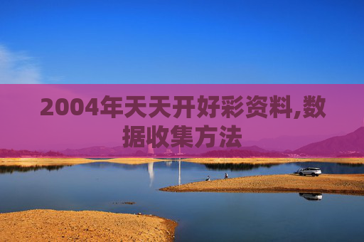 2004年天天开好彩资料,数据收集方法