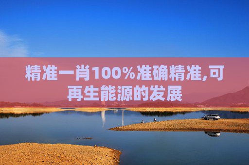 精准一肖100%准确精准,可再生能源的发展