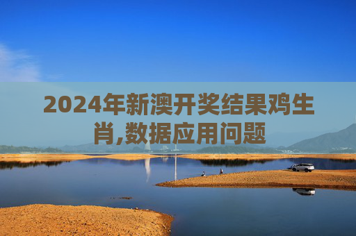 2024年新澳开奖结果鸡生肖,数据应用问题