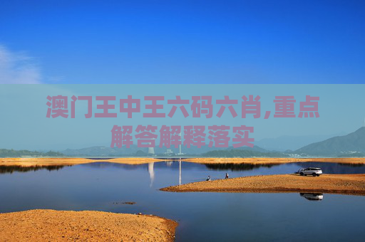 澳门王中王六码六肖,重点解答解释落实