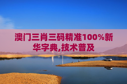 澳门三肖三码精准100%新华字典,技术普及