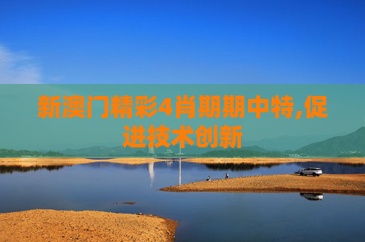 新澳门精彩4肖期期中特,促进技术创新