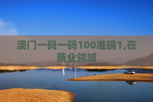 澳门一码一码100准确1,在商业领域