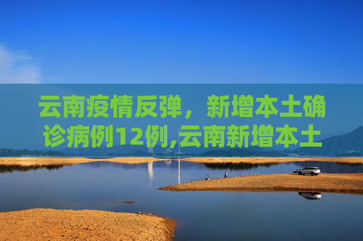 云南疫情反弹，新增本土确诊病例12例,云南新增本土确诊病例12例
