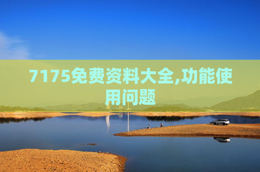 7175免费资料大全,功能使用问题