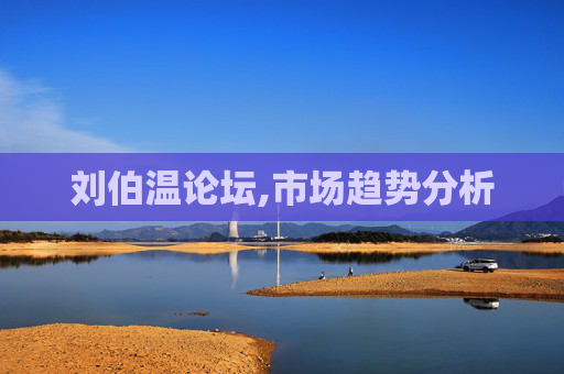 刘伯温论坛,市场趋势分析