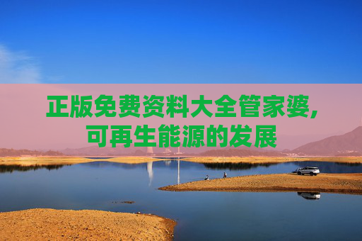 正版免费资料大全管家婆,可再生能源的发展