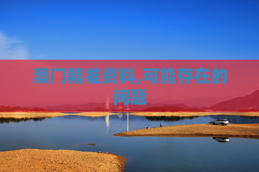 澳门精准资料,可能存在的问题