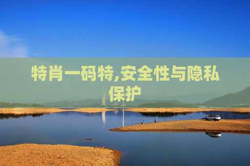 特肖一码特,安全性与隐私保护