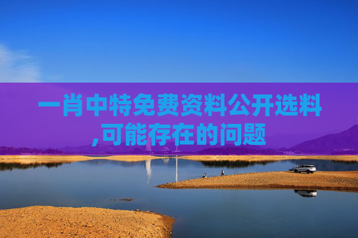 一肖中特免费资料公开选料,可能存在的问题