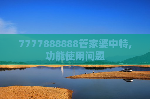 7777888888管家婆中特,功能使用问题