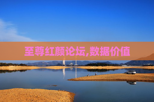 至尊红颜论坛,数据价值