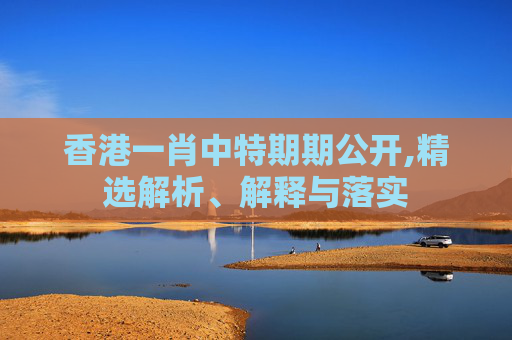 香港一肖中特期期公开,精选解析、解释与落实