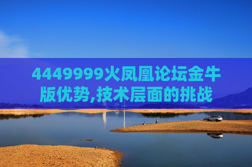 4449999火凤凰论坛金牛版优势,技术层面的挑战