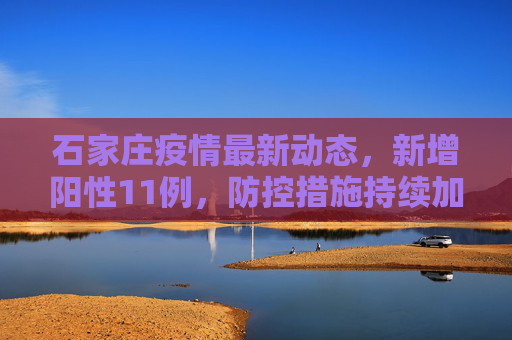 石家庄疫情最新动态，新增阳性11例，防控措施持续加强,石家庄新增阳性11例
