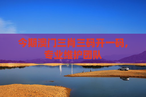 今期澳门三肖三码开一码,专业维护团队