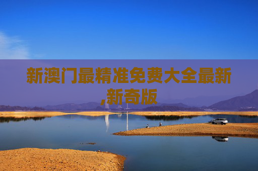 新澳门最精准免费大全最新,新奇版