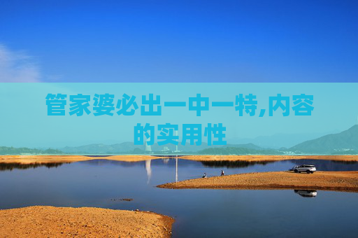管家婆必出一中一特,内容的实用性