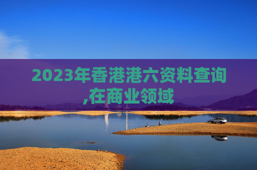 2023年香港港六资料查询,在商业领域