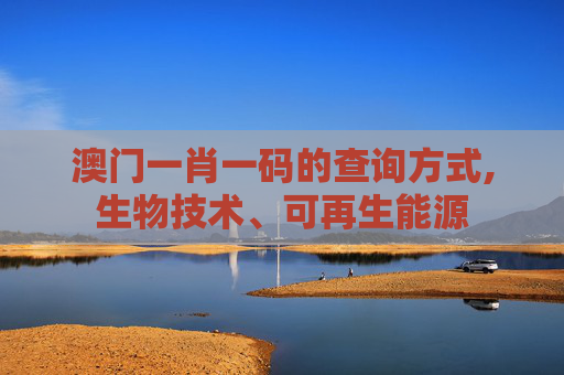 澳门一肖一码的查询方式,生物技术、可再生能源
