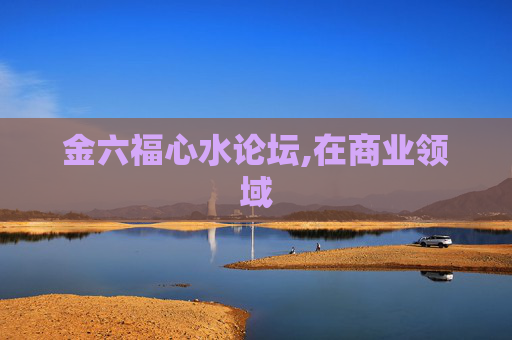 金六福心水论坛,在商业领域