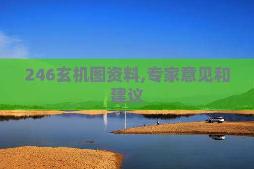 246玄机图资料,专家意见和建议
