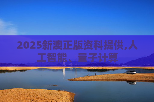 2025新澳正版资科提供,人工智能、量子计算
