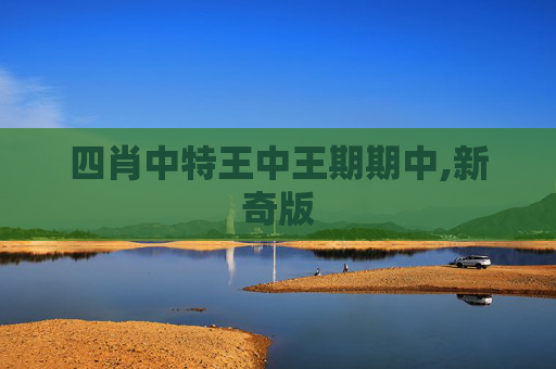 四肖中特王中王期期中,新奇版