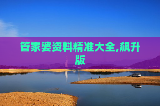 管家婆资料精准大全,飙升版