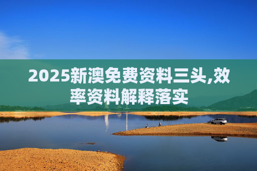 2025新澳免费资料三头,效率资料解释落实