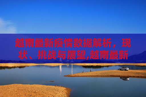 越南最新疫情数据解析，现状、挑战与展望,越南最新疫情数
