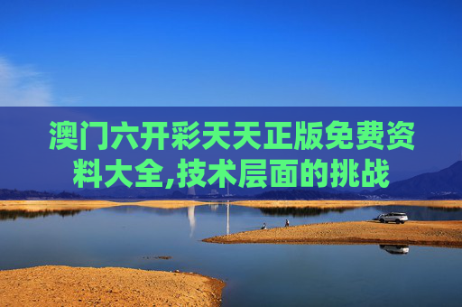 澳门六开彩天天正版免费资料大全,技术层面的挑战